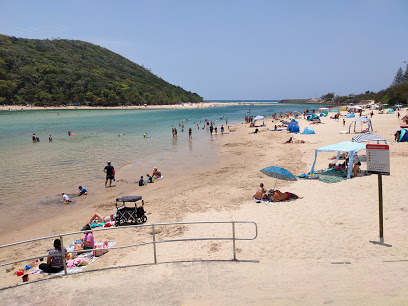 are dogs allowed at tallebudgera creek